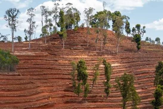 Soil Conservation
